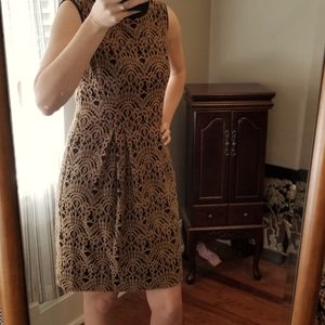 Nanette Lepore | Scallop Lace Dress